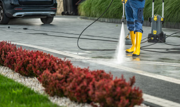 Best Driveway Pressure Washing  in Cicero, IL